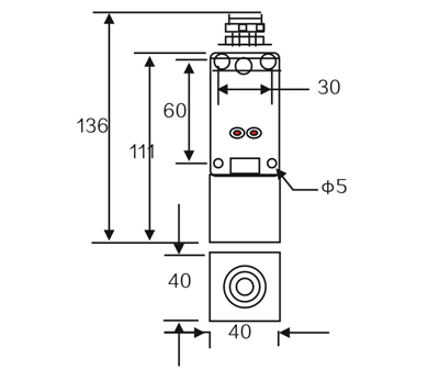 LMF31