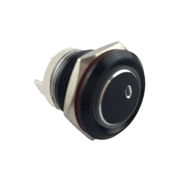 19mm MAX 16A 1NO IP65 Green Ring Light Black Self-locking Metal Push Button Switch