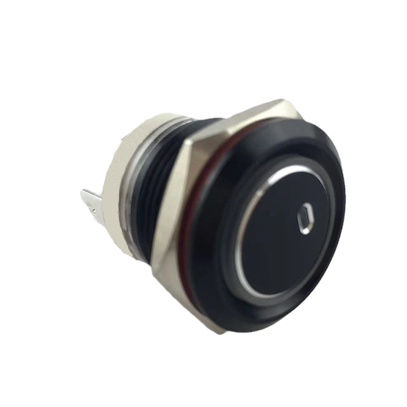 19mm MAX 16A 1NO IP65 Green Ring Light Black Self-locking Metal Push Button Switch