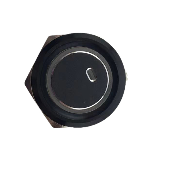 19mm MAX 16A 1NO IP65 Red Ring Light Black Self-locking Metal Push Button Switch