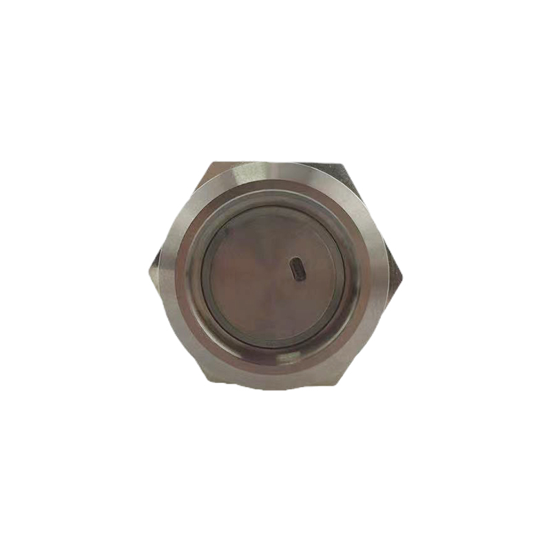 New 19mm MAX Current 16A MAX Metal Push Button Switch Waterproof IP65 Momentary 24V with RED LED Light