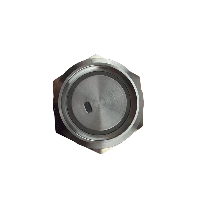 22mm 16A Metal Push Button Switch Waterproof IP65 Momentary with Green LED Light