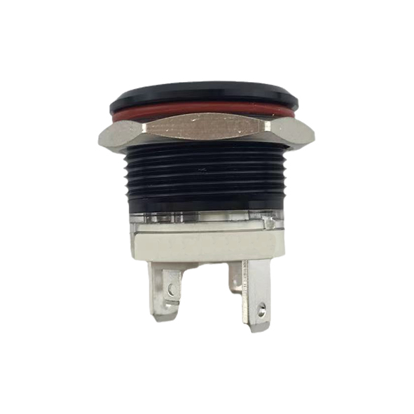 19mm MAX 16A 1NO IP65 Red Ring Light Black Self-locking Metal Push Button Switch