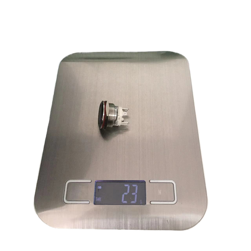 LB19E-S-G-L-5-24V (12)