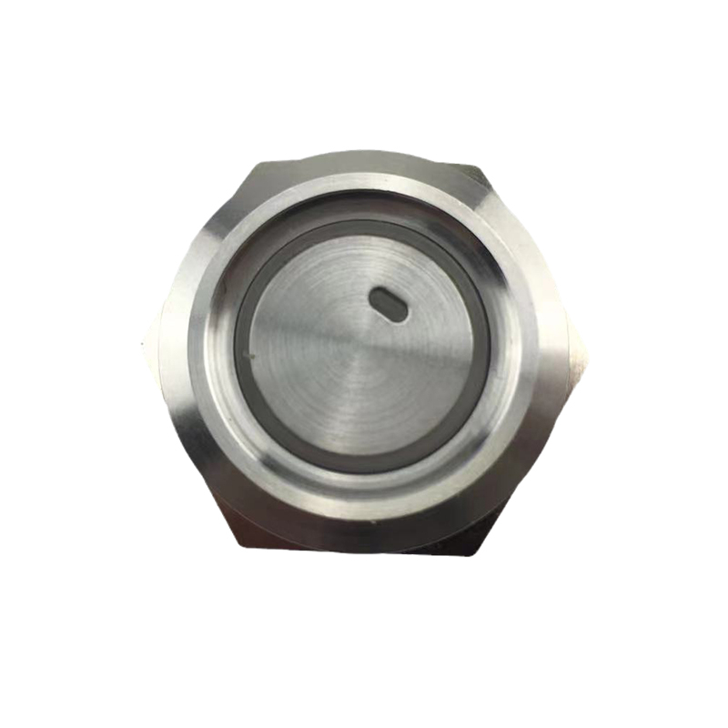 New 19mm MAX Current 16A Metal Push Button Switch Waterproof IP65 Momentary 24V with Blue LED Light